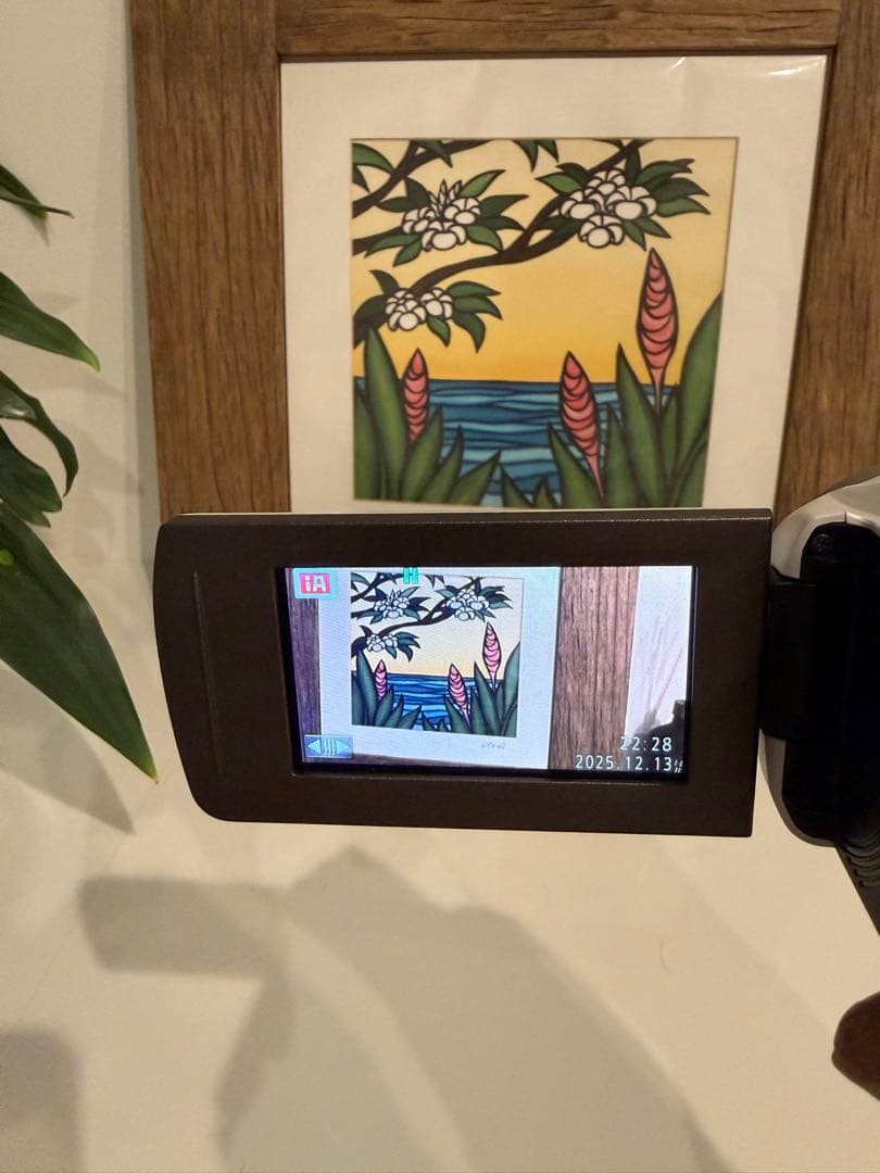 美品Panasonic HC-V360MS フルHDビデオカメラ 本体