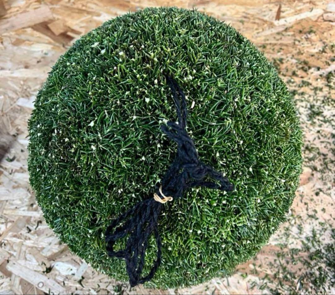 杉玉　約40センチ‼️お客様ご注文品♪