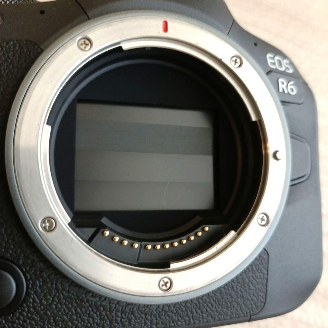 CANON EOS R6 RF24-105 IS STM レンズキット+おまけ