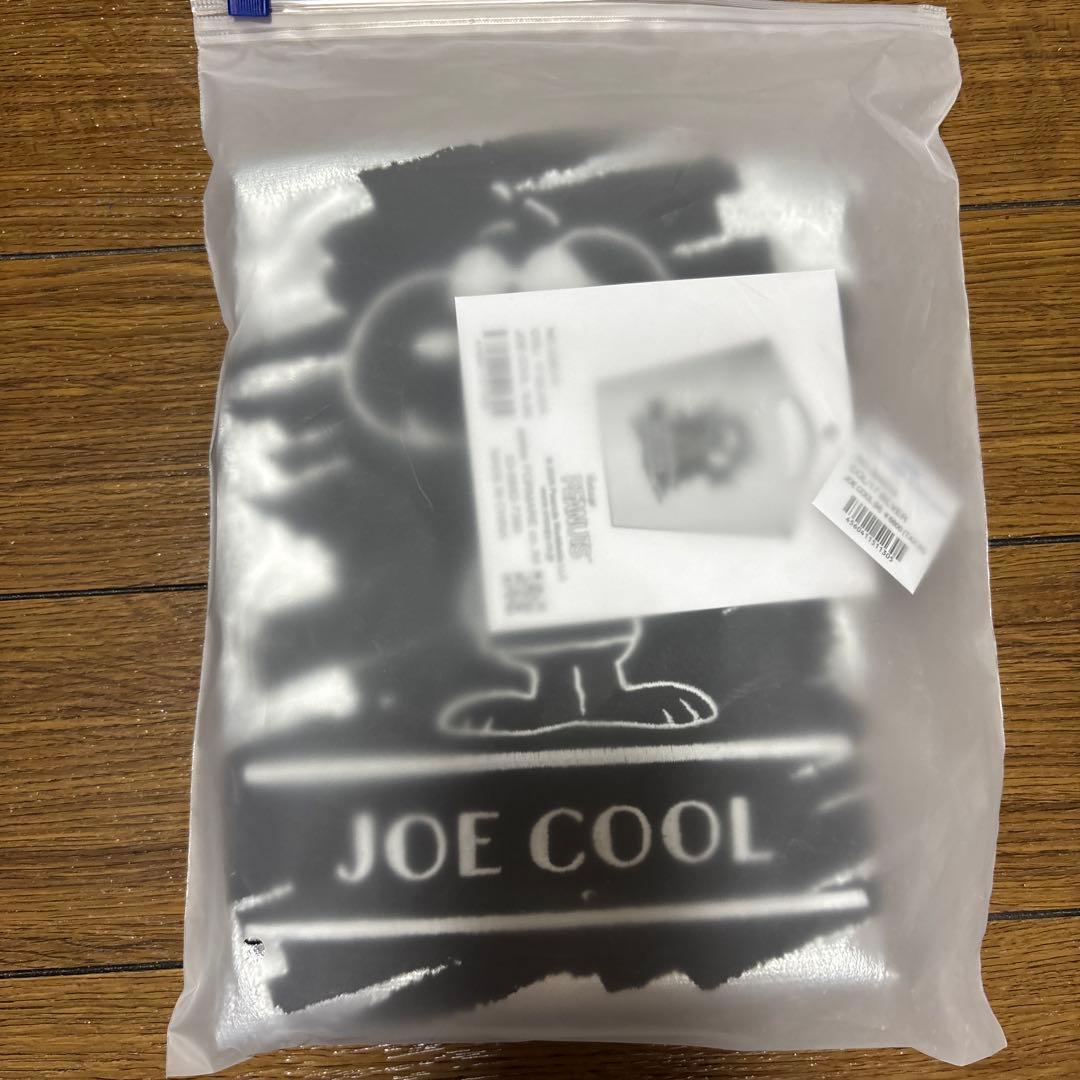 ボール＆チェーン名古屋限定スヌーピー　SILVER