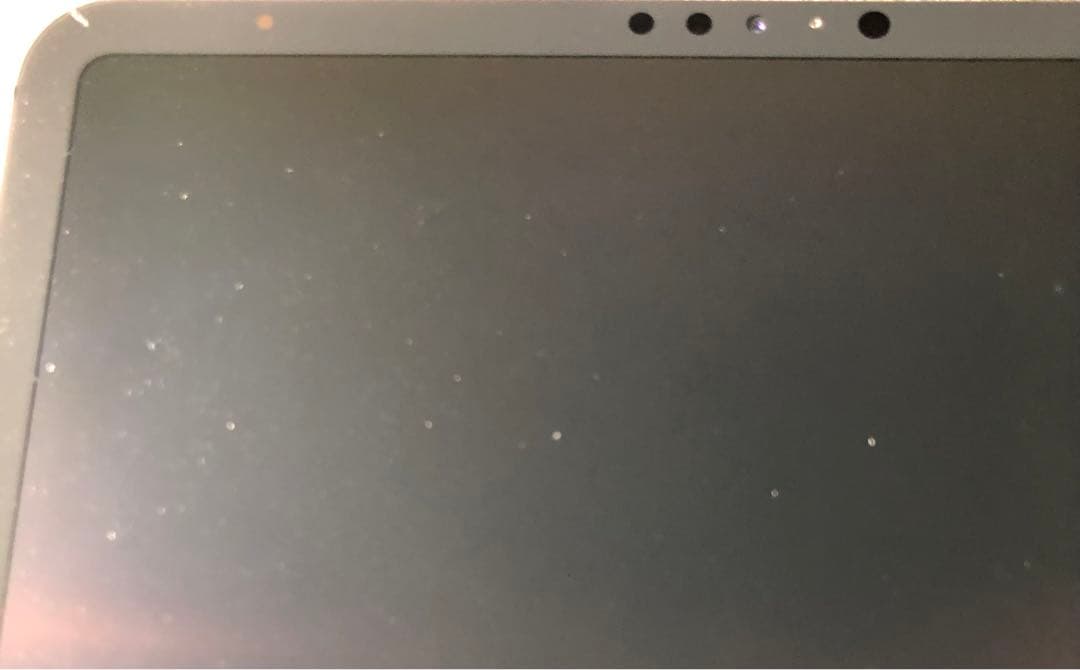 【年始割】iPad Pro 11インチ 第1世代 256GB 【すぐ発送】