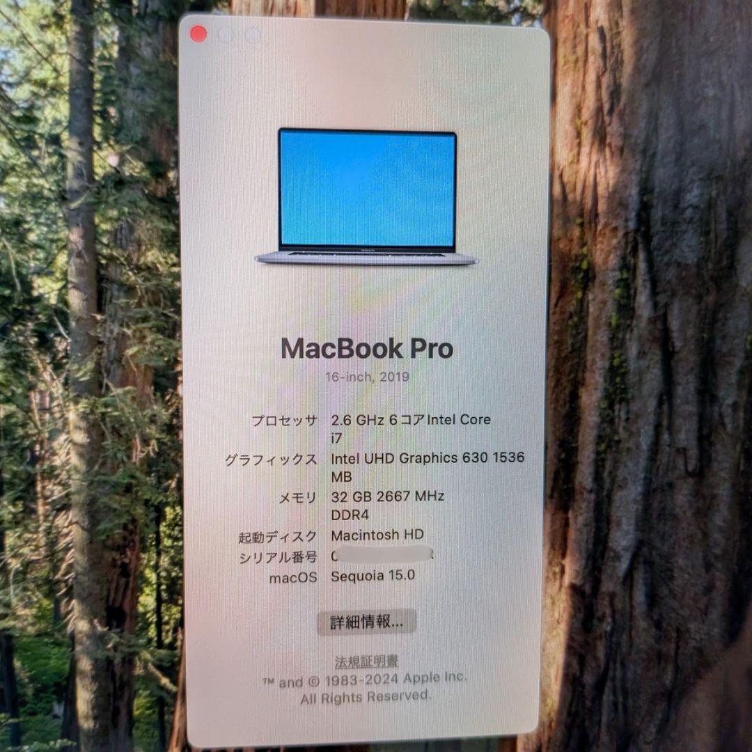 MacBook本体 MacBook Pro 16inch 2019 i7 32GB 1TB