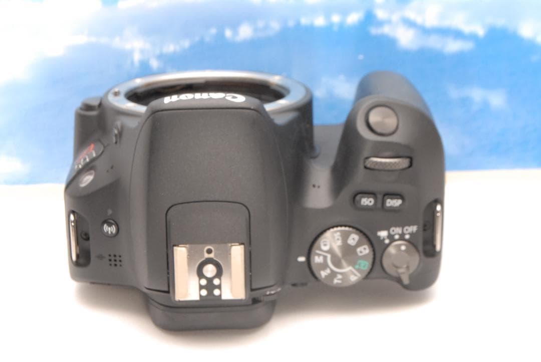 ✨スマホ転送✨キヤノン EOS Kiss X9 ダブル 手振れ補正 軽量 初心者