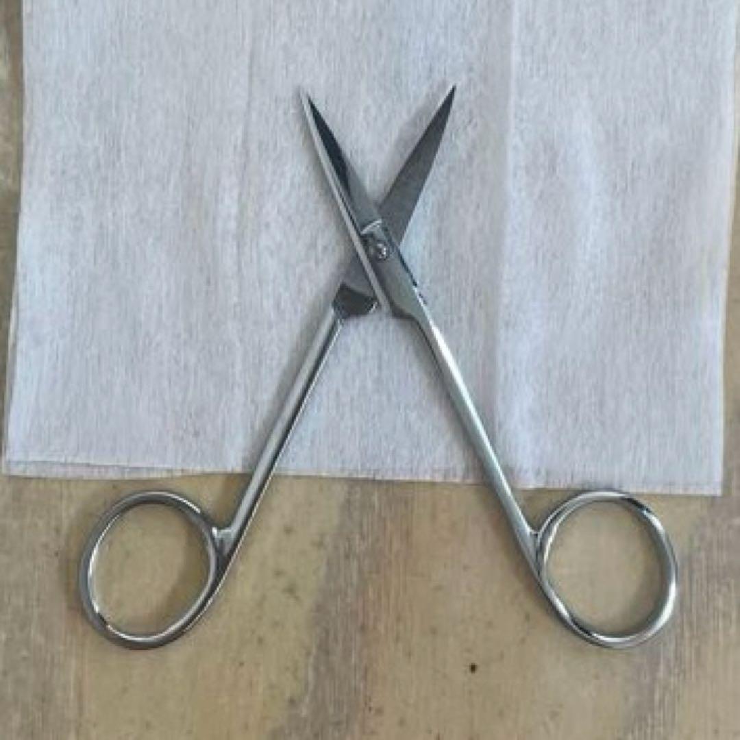 生物　昆虫採取　解剖セット　標本セット　実習キット