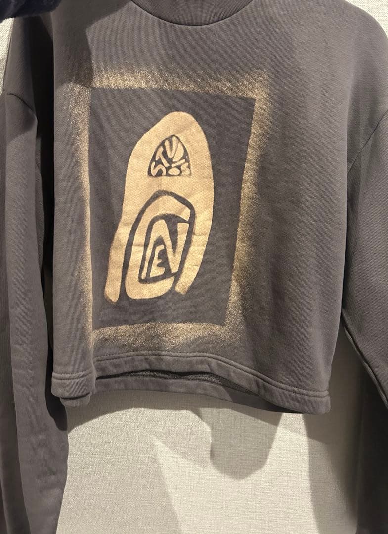 Acne Studios グレー アートプリント クロップドスウェット