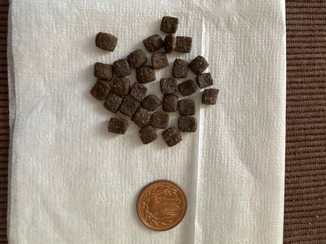 ELMO サーモンとライス 3kg×2袋