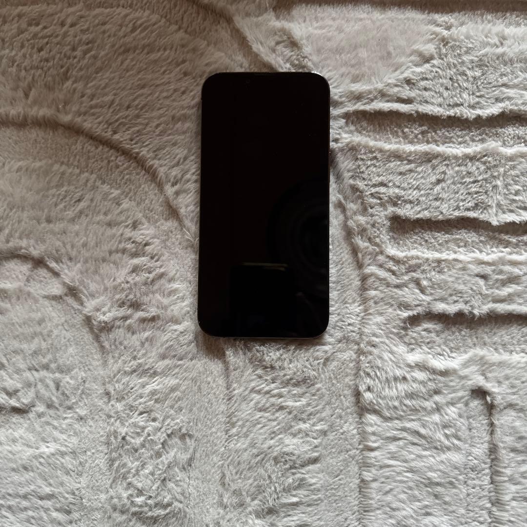 iPhone 13Pro ジャンク品