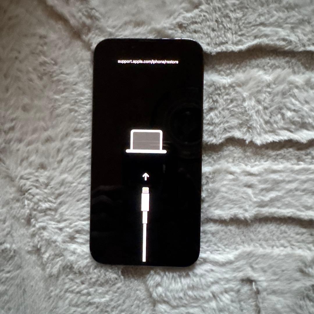 iPhone 13Pro ジャンク品