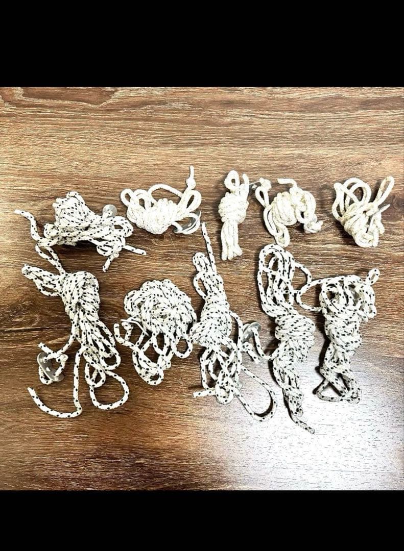 ぴくみんあんどおりまー様お買上げ　コールマン　BCクロスドーム270