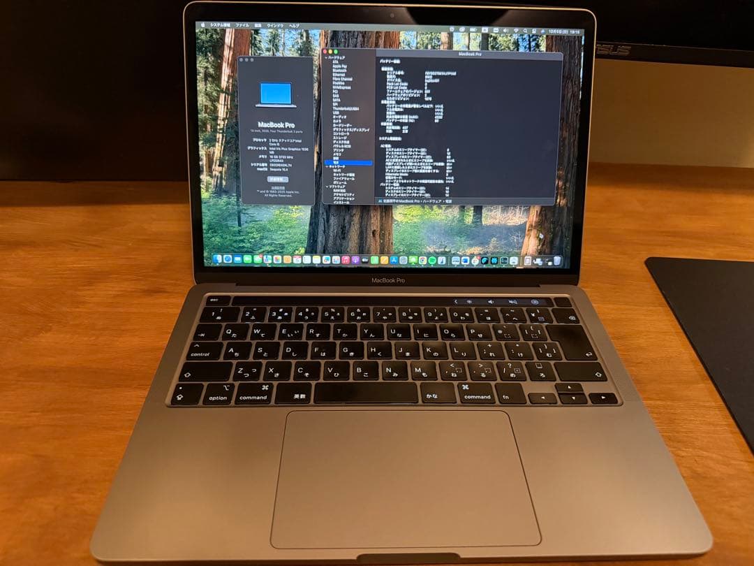 まぐろさん専用　MacBook Pro 13インチ 512GB メモリ16G