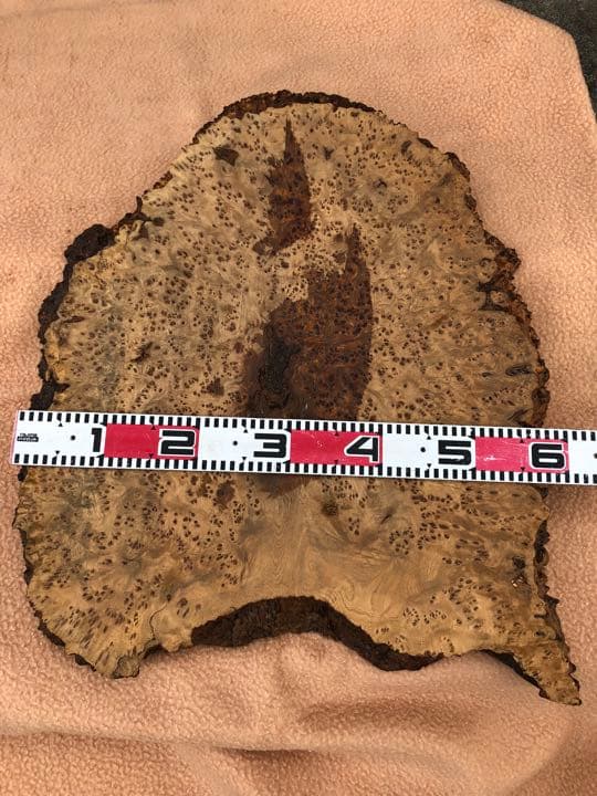 青森ヒバ　うずら模様　1枚板　こぶ板