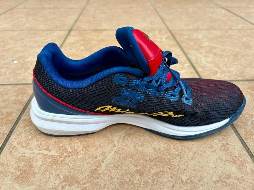 【値下げ】ミズノプロ　ウェーブライトレボランプロ　WBC限定色25.5㎝