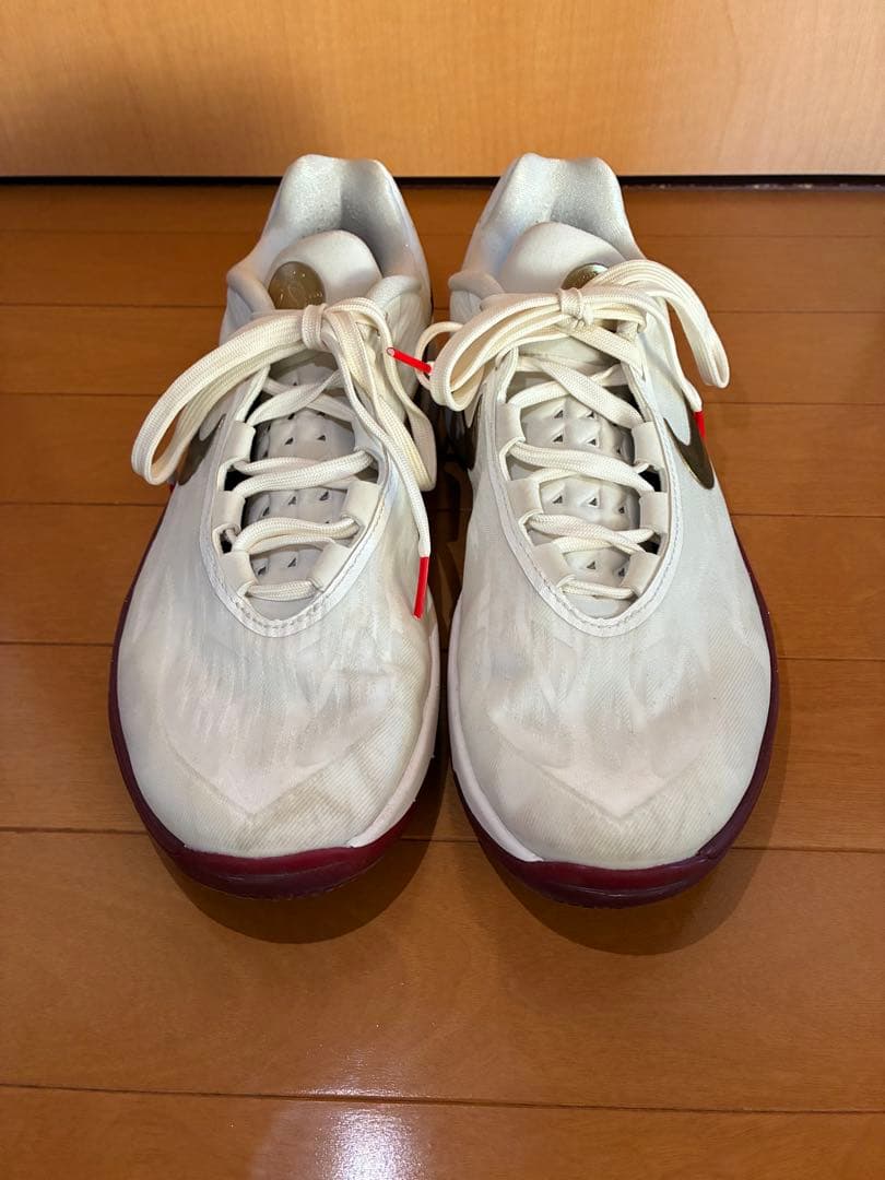 Nike g.t. cut 2 ナイキGTカット2