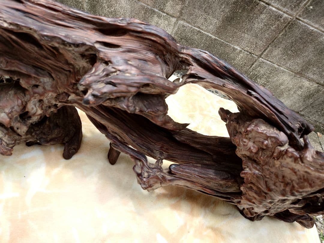 天然木根瘤 自然造形花器 置物 鑑賞木 瘤木 木のオブジェ 根木台 飾台 木目