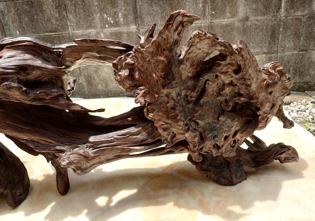 天然木根瘤 自然造形花器 置物 鑑賞木 瘤木 木のオブジェ 根木台 飾台 木目