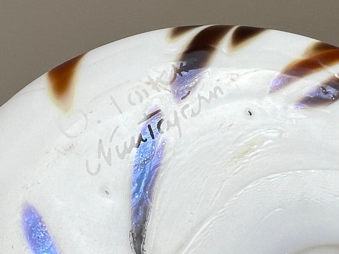  Owl バード イッタラ フクロウ オイバ・トイッカ