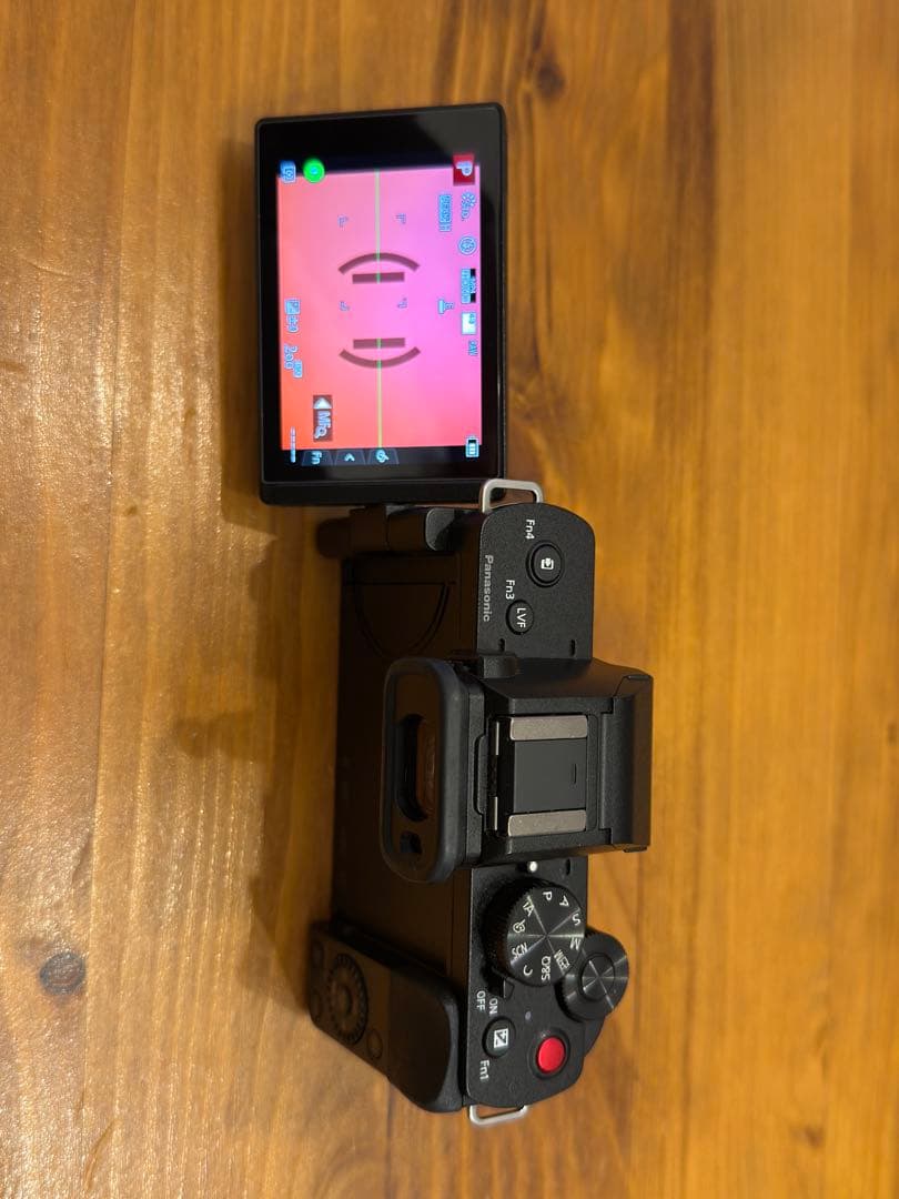 デジタルカメラ LUMIX G100