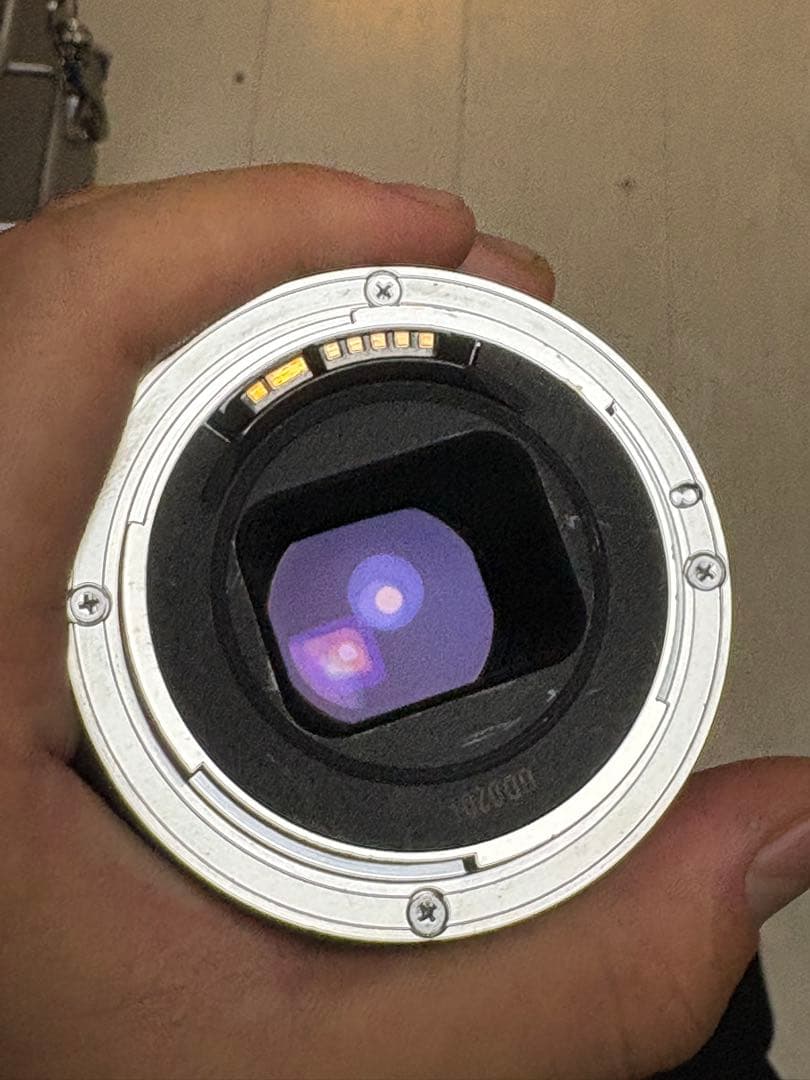 【状態優良】Canon EOS 40D 標準・望遠レンズ バッテリーグリップ付き