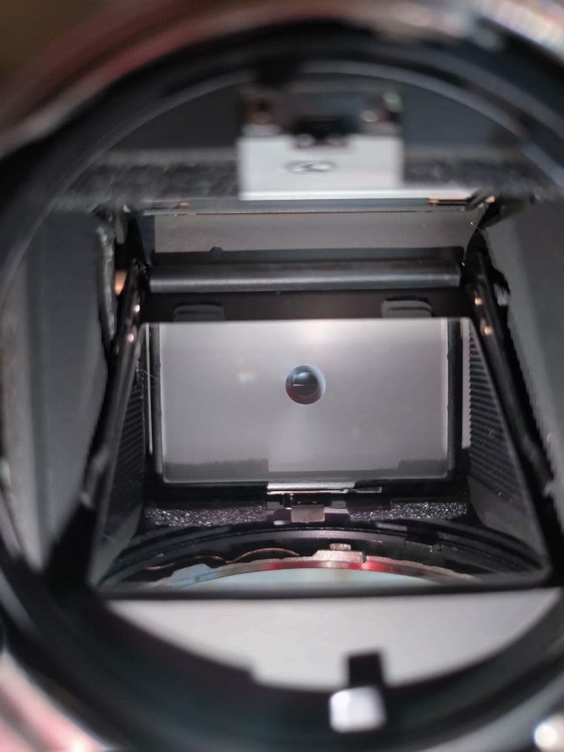 【難あり】コンタックス　CONTAX RX Bodyのみ