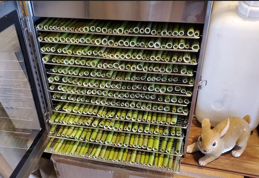 ぷぴ　茎２kg、実１kg　国産・高品質)乾燥パパイヤの茎（無農薬・有機肥料