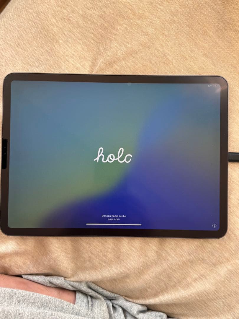 iPad Pro 第2世代　Appleストア購入 Apple pencil対応