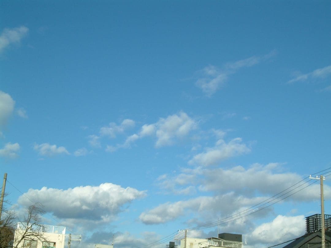 【作例あり】FUJIFILM finepix M603 コンデジ デジカメ