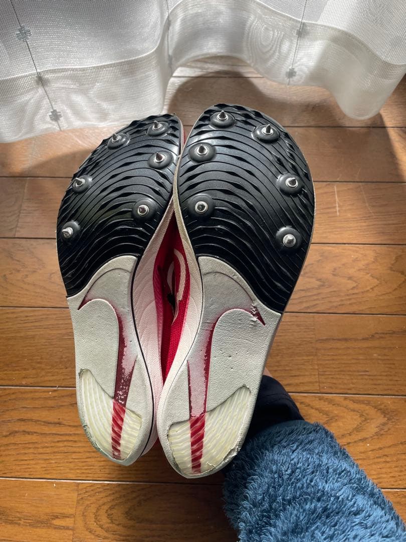 ドラゴンフライ　25cm