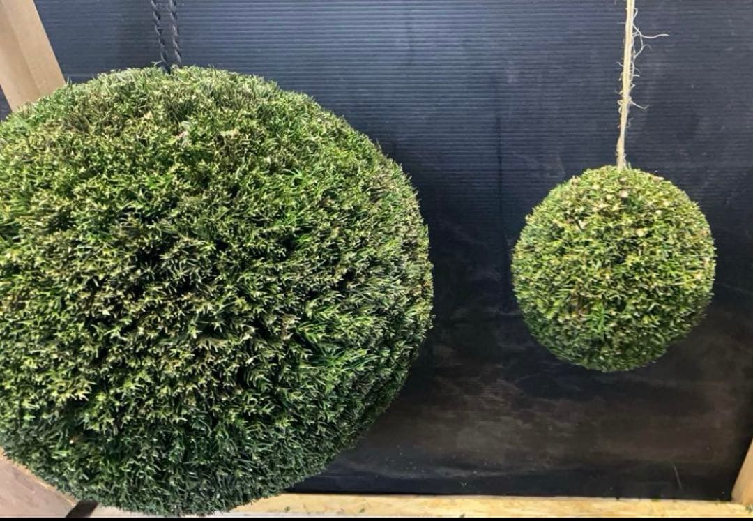 杉玉　約20センチ屋根付き‼️お客様ご注文品♪