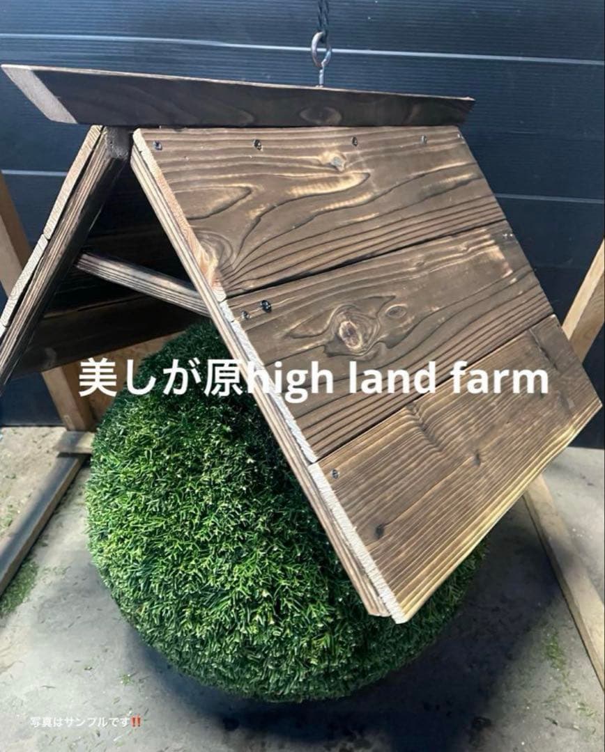 杉玉　約20センチ屋根付き‼️お客様ご注文品♪