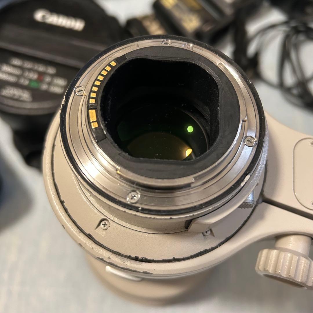 Canon EOS 1DX + EF 400mm単焦点レンズ セット