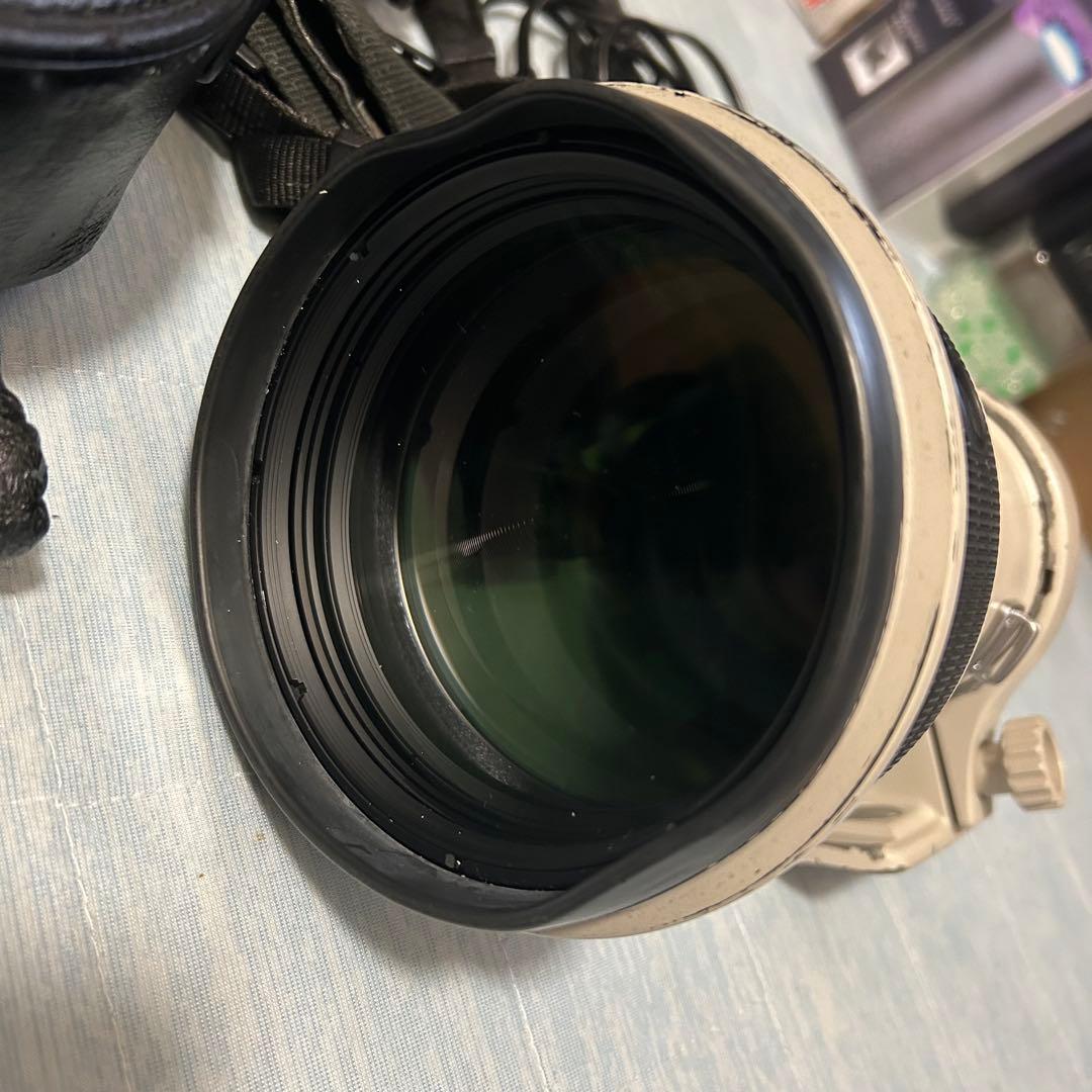 Canon EOS 1DX + EF 400mm単焦点レンズ セット