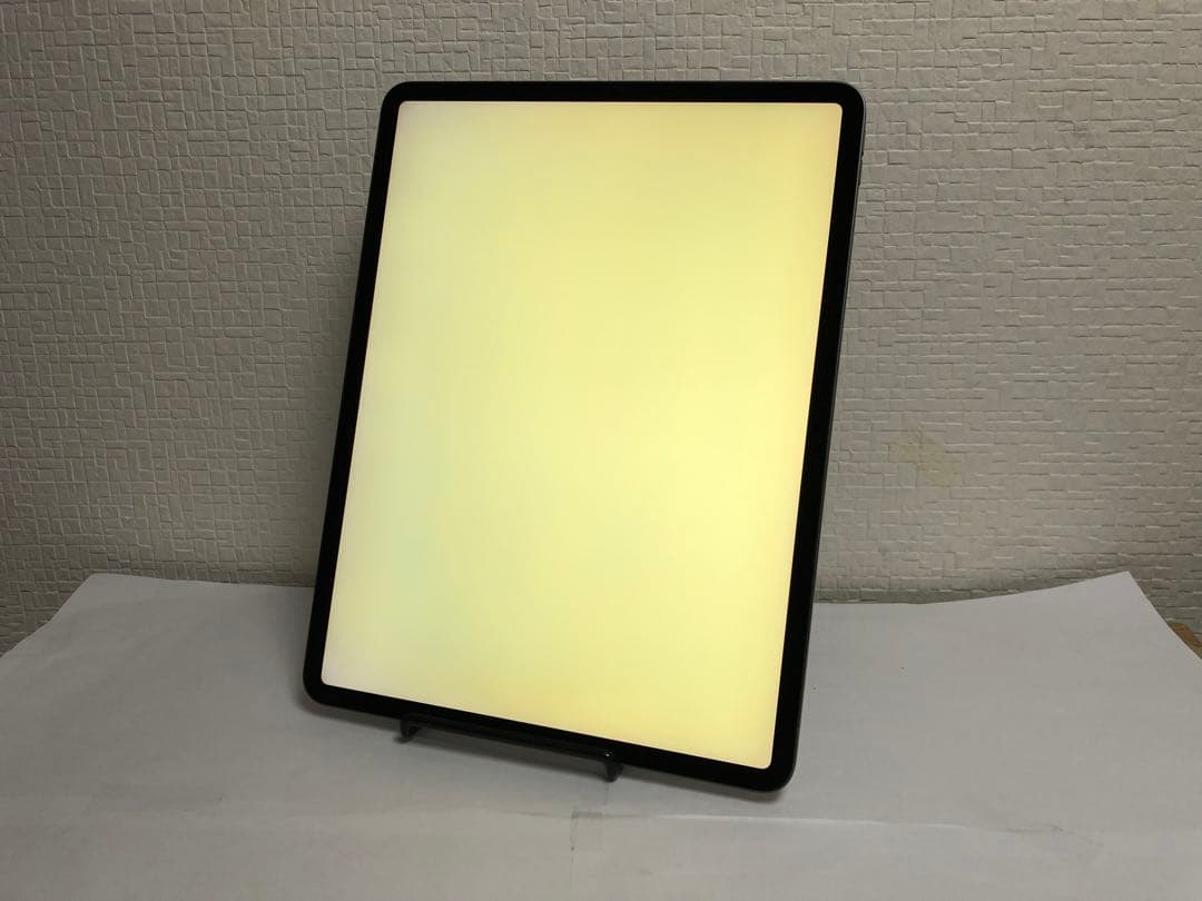 iPad Pro 12.9インチ（第4世代）256GB Wi-Fiモデル N45