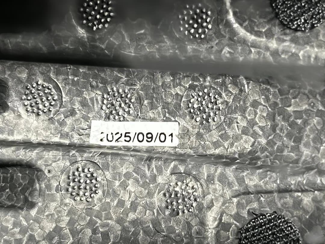 DICE スノーボードヘルメット D6 L/XL