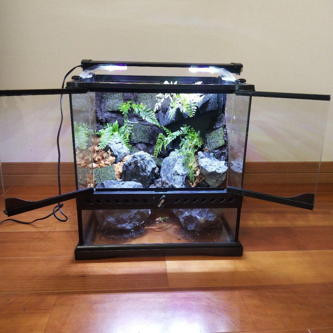 【受注生産】グラステラリウム3030　イモリウム　苔テラリウム