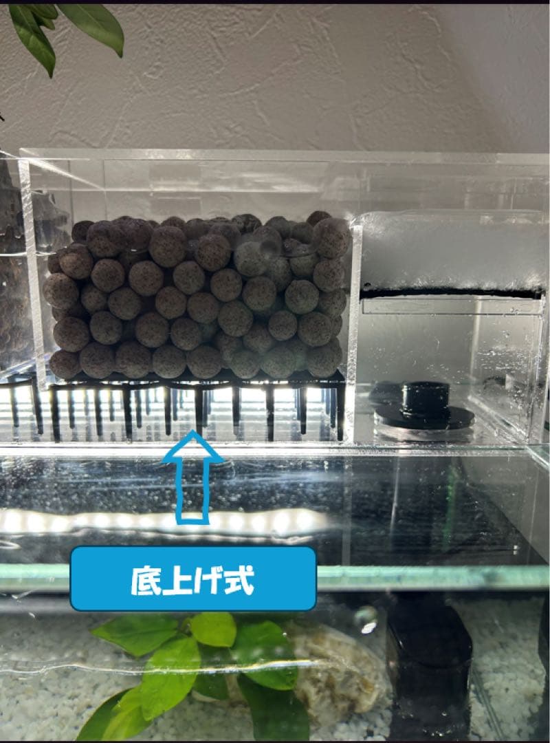 上部濾過槽＋ガラス水槽セット　アクアリウム水槽アクアポニックス仕様上部フィルター