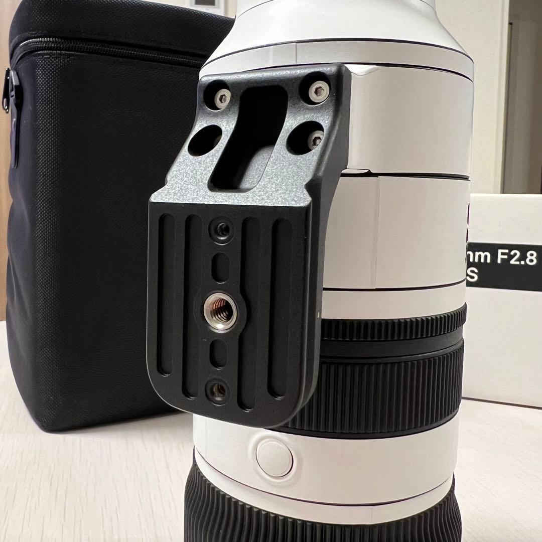 SIGMA Sports 70-200mm F2.8 DG DN OSソニーE