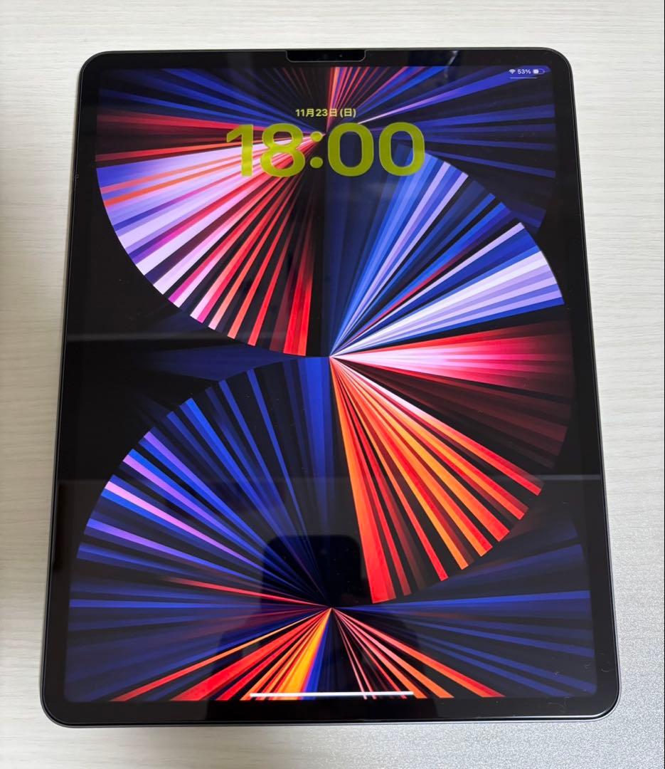 iPad pro 12.9 第5世代256G wifi