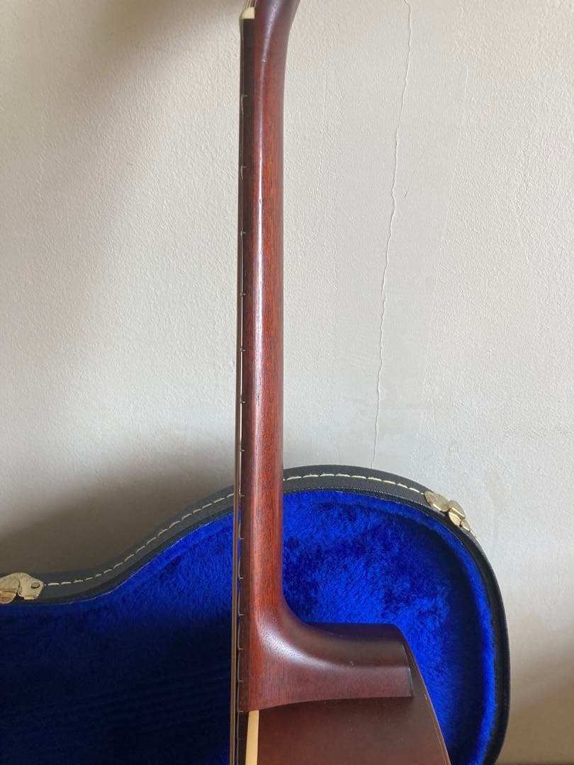 sea gull S6+FOLK MEQ エレアコ エレアコ 純正ハードケース付