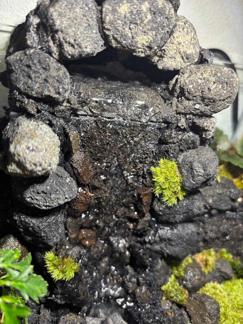 受注作品　アクアテラリウム　滝　池　苔テラリウム　30cm水槽