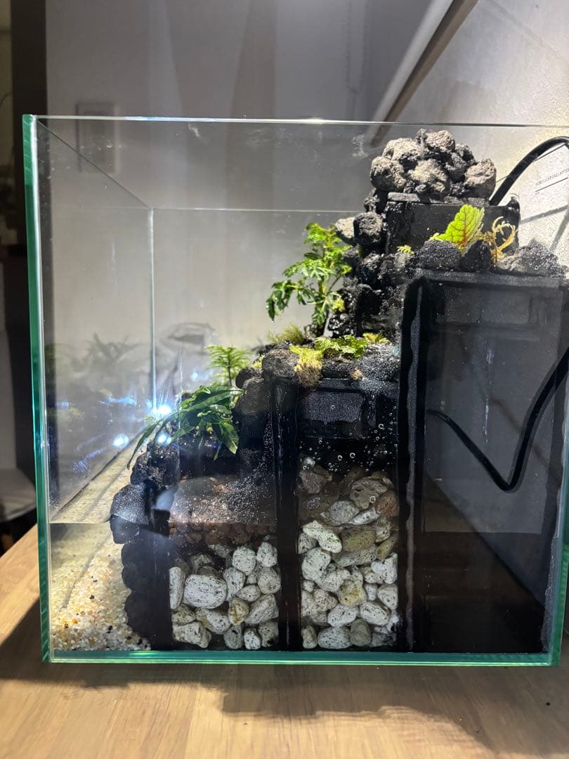 受注作品　アクアテラリウム　滝　池　苔テラリウム　30cm水槽