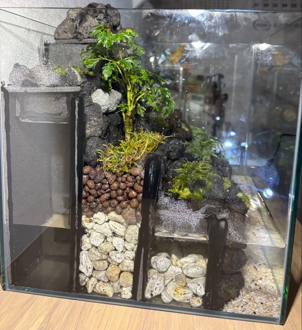 受注作品　アクアテラリウム　滝　池　苔テラリウム　30cm水槽