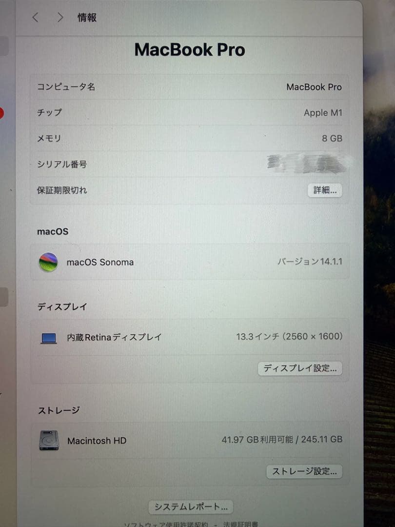 MacBook Pro (Retinaディスプレイ, 13-inch, 202…