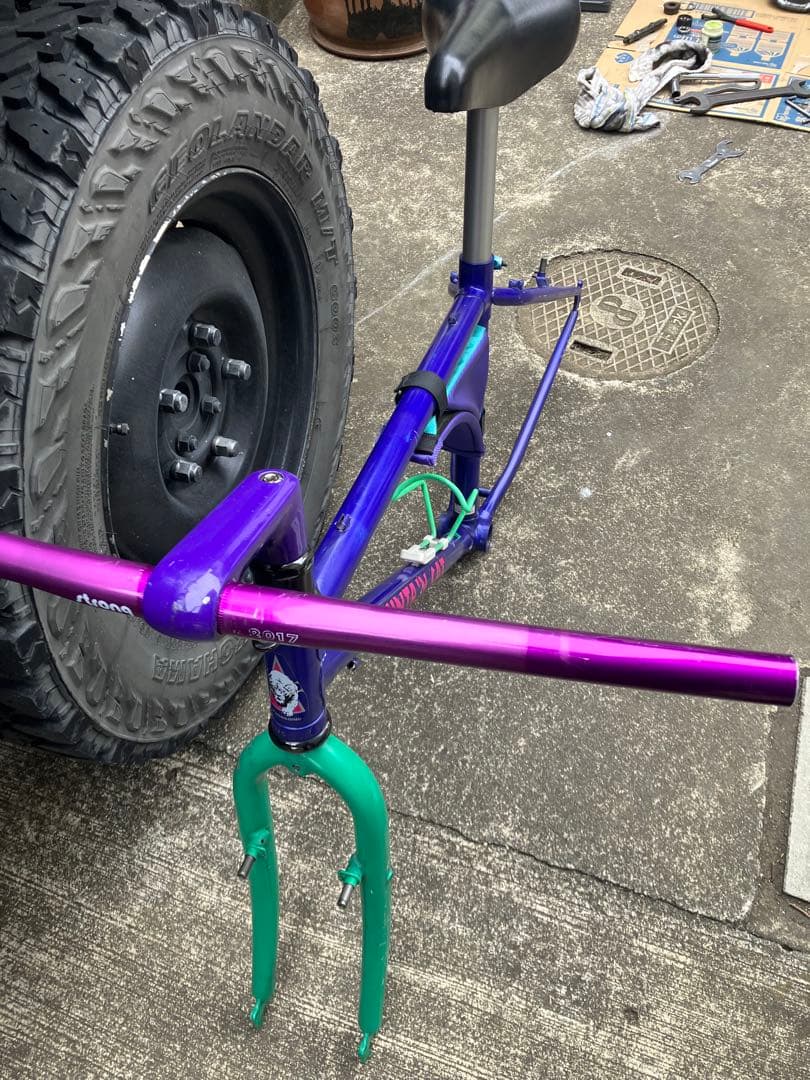 Panasonic mountain cat フレーム