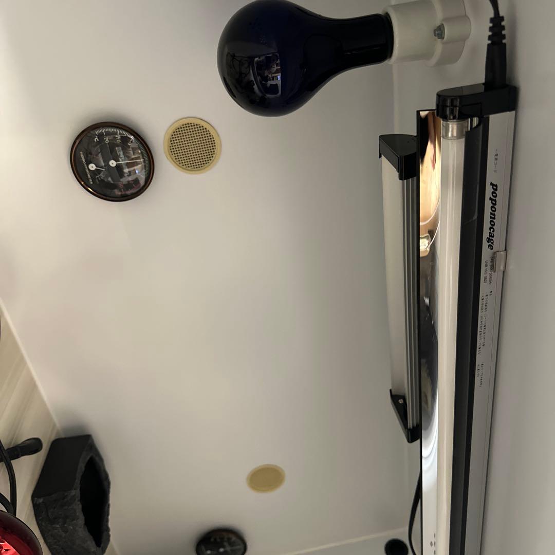 ポポのケージ爬虫類・両生類用飼育ケージ