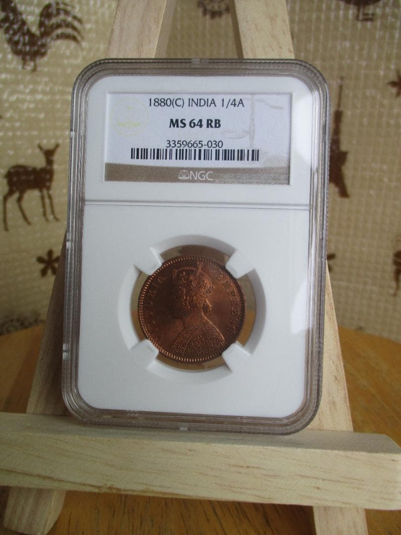 1880 英領インド　ヴィクトリア女王　1/4 アンナ銅貨　NGC MS64