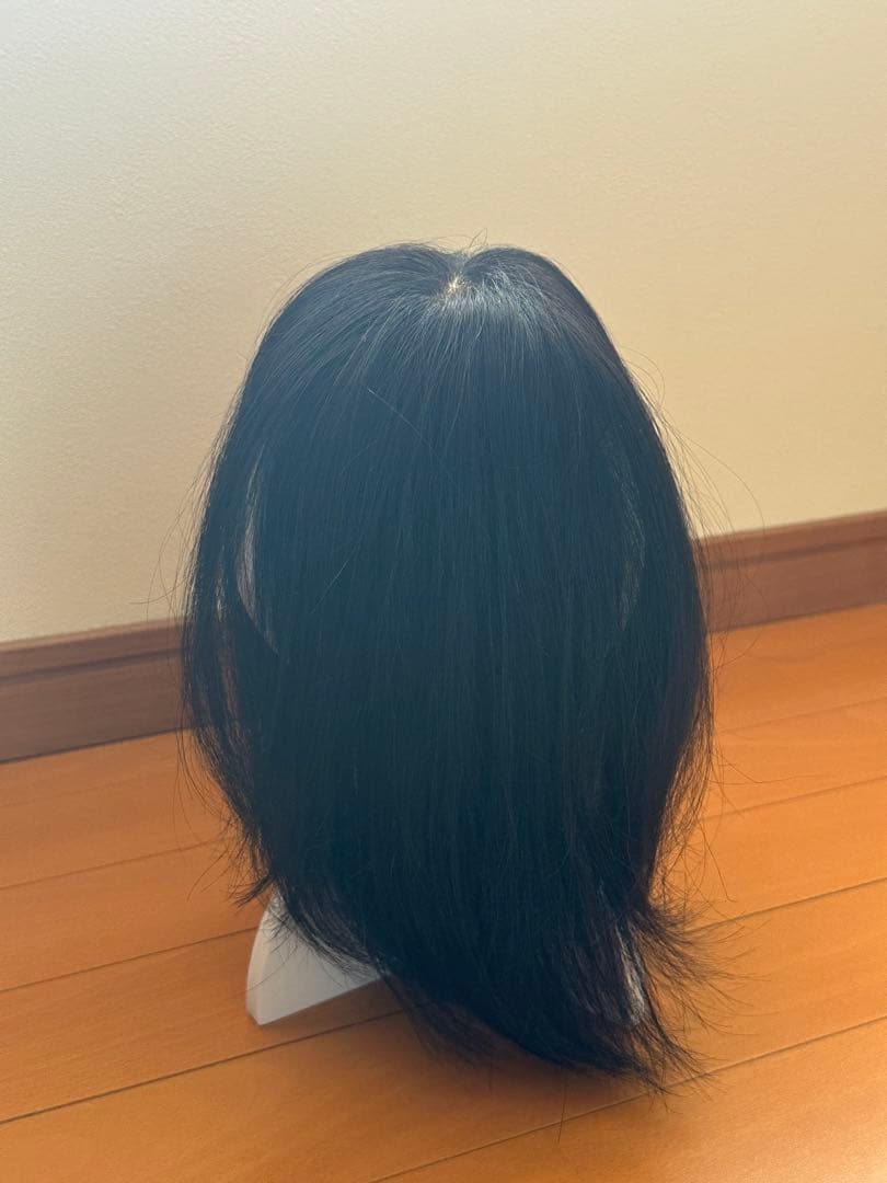 ジュリアオージュ さらら ウィッグ