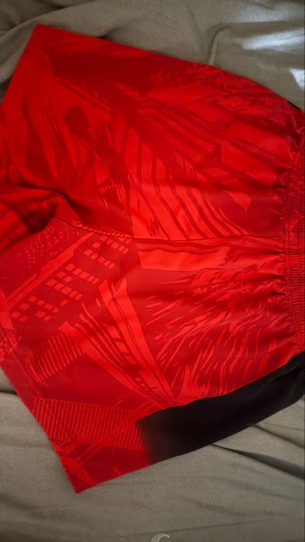 日本大学ゲーパンMizuno 2XL 赤 グラフィックパンツ