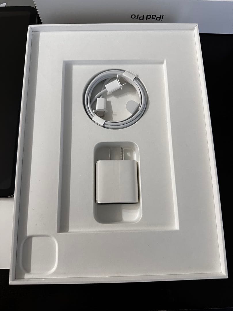 iPad Pro 11インチ 1TB M1 wi-fi +Cellular 本体