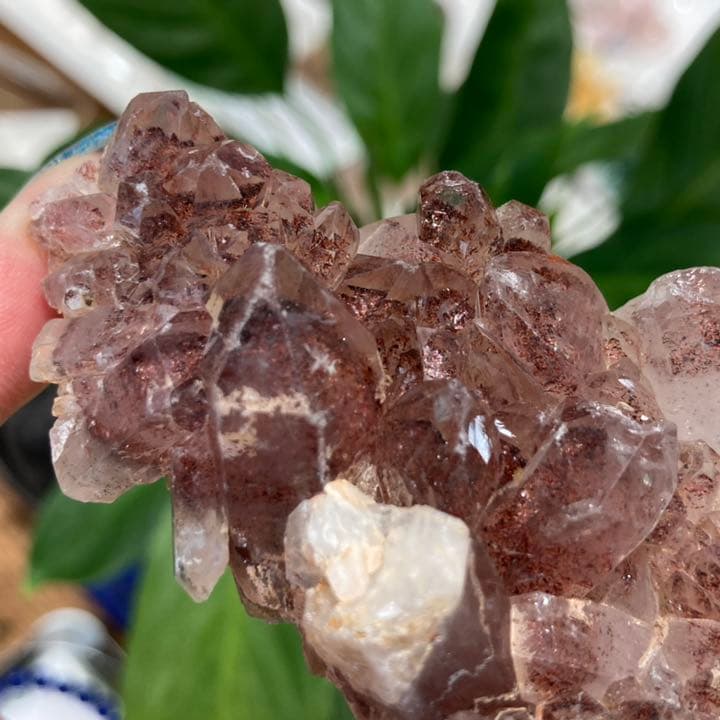 レピドクロサイト 原石 クラスター