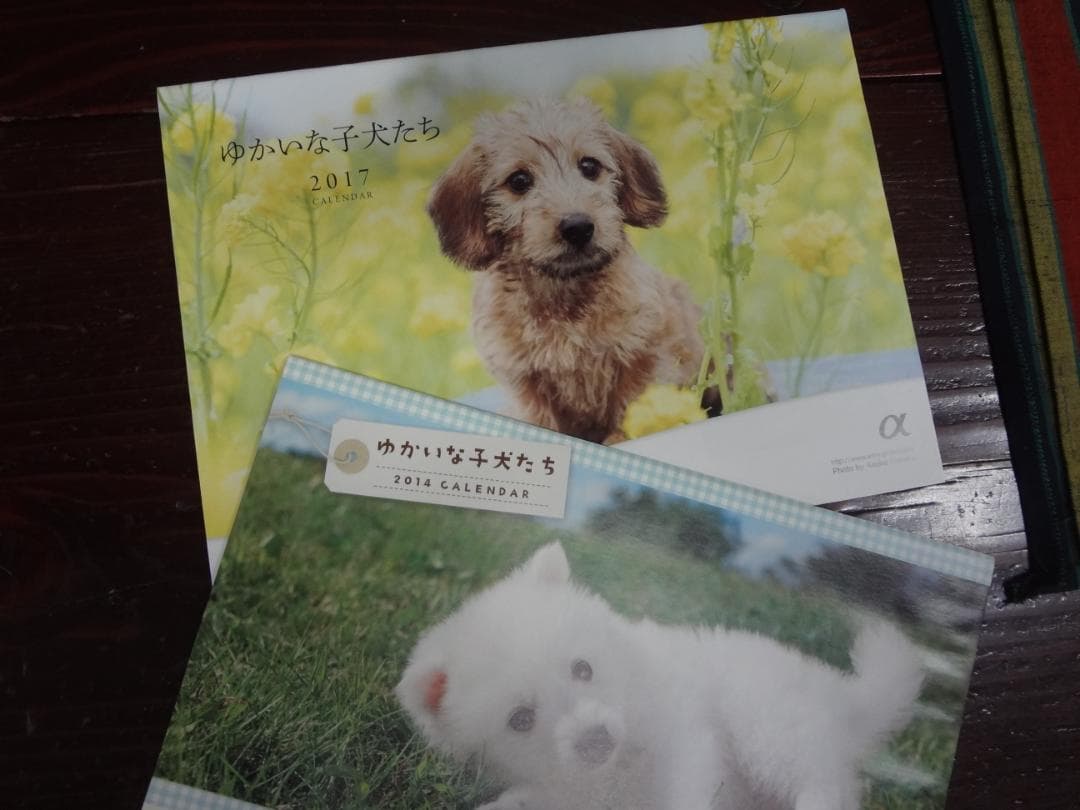 ゆかいな子犬たち　2012－2024カレンダーコレクションセット●新品